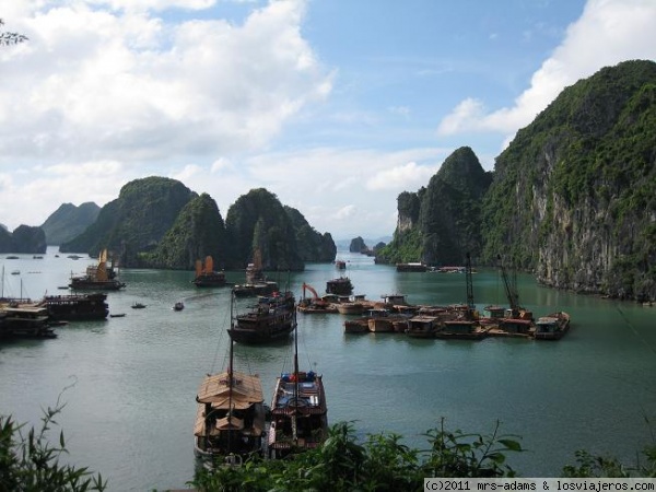 bahía halong
Bahía de Halong, Vietnam.
