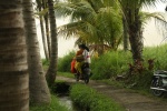 el mejor medio de transporte para Bali
