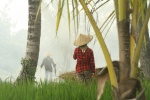 Cultivos en Bali