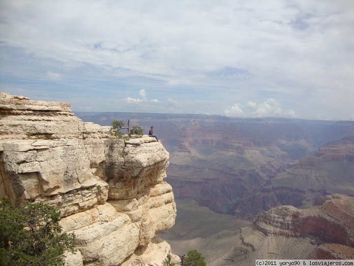 Foro de Skywalk En Gran Cañon: Contemplando el Gran Cañon