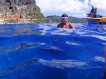 snorkel buscando ballenas RURUTU