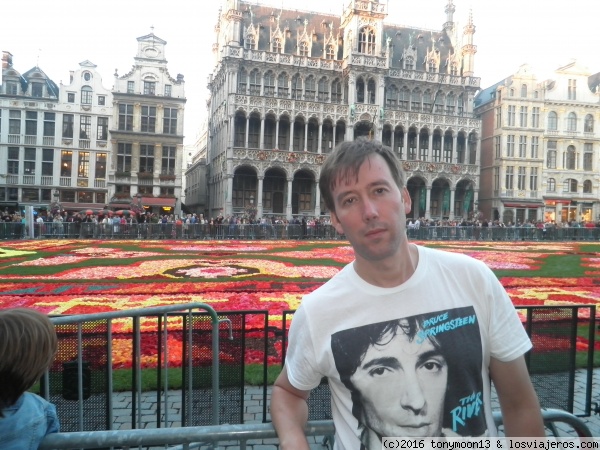 alfombra bruselas
alfombra floral bruselas 2014
