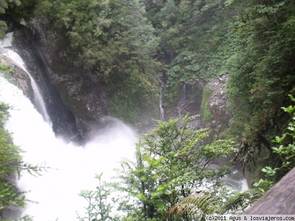 Salto del Padre García
En el comienzo de la cuesta del Queulat nos detuvimos para recorrer el sendero Salto del Padre García, muy bonito, con mucho verde.
