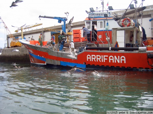 Arrifana
Tipica faena en un dia cualquiera de los pescadores descargando en el puerto de Portimao.
