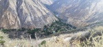 Oasis de Sangalle