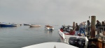 Embarcadero de Paracas