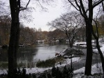 Central Park con el lago helado.
Central Park