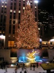 Rockefeller Xmas Tree
