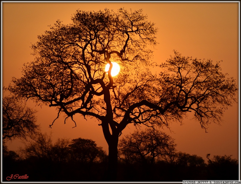 Viajar a  Sudáfrica: Regalos Tipicos De - atardecer en el Kruger (Regalos Tipicos De)