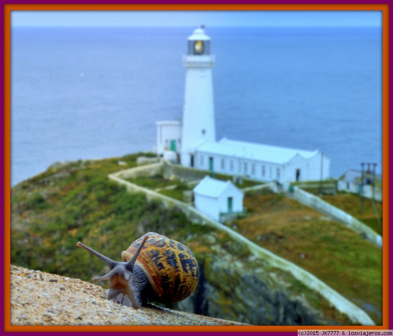 Foro de Wales: Faro de Holyhead (Wales)