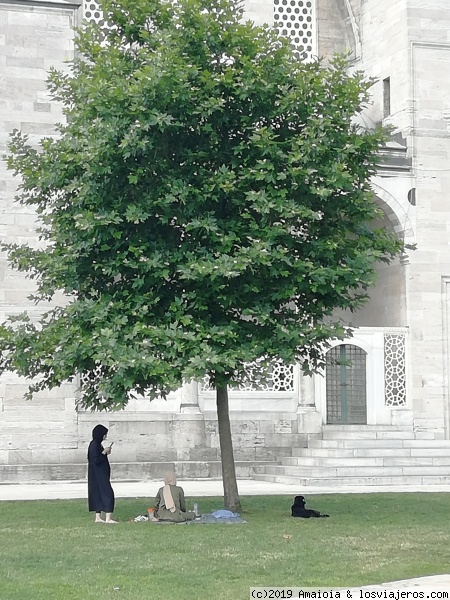 Santa paz
descansando a la sombra del árbol
