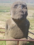 Moai Volcan Ranu Raraku
Moais Isla de Pascua Rapa Nui Ranu Raraku