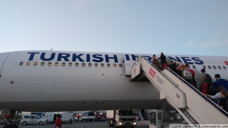 Foro de Vuelos: AVION TURKISH AIRLINES