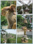 SWAYAMBHUNATH