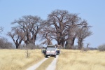 Anexo1 - Botswana por libre - Experiencias