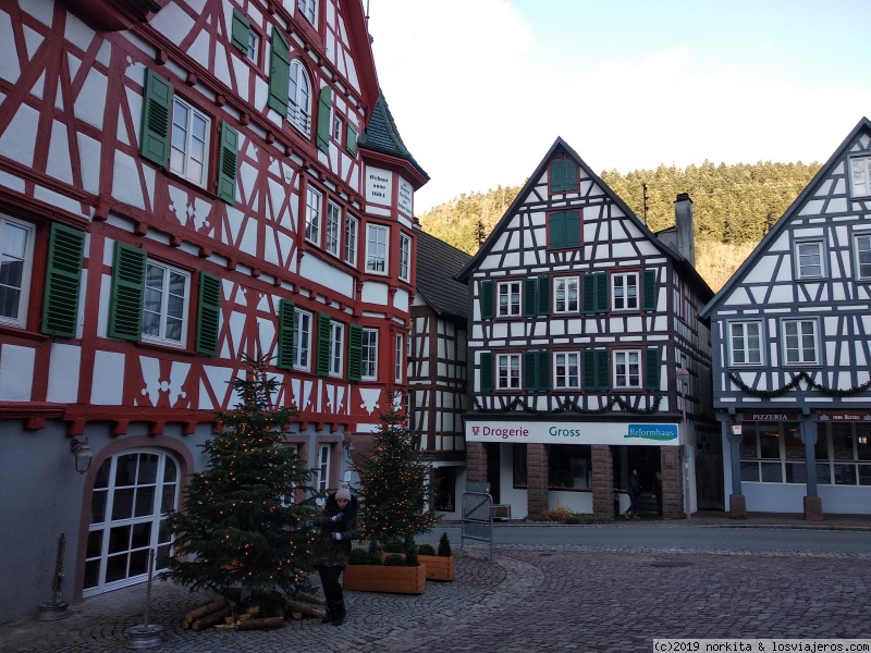 NAVIDADES ALSACIA-SELVA NEGRA-SUIZA EN COCHE DESDE MADRID 2018 - Blogs de Europa - SELVA NEGRA-SCHILTACH-FRIBURGO-COLMAR (1)