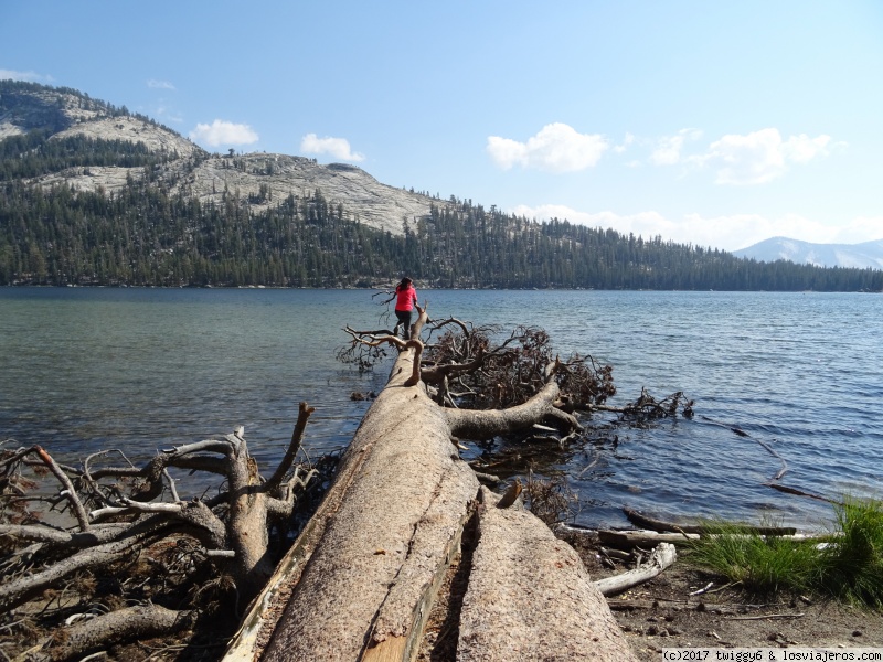 Día 11 Yosemite - Ruta por el oeste americano. (1)