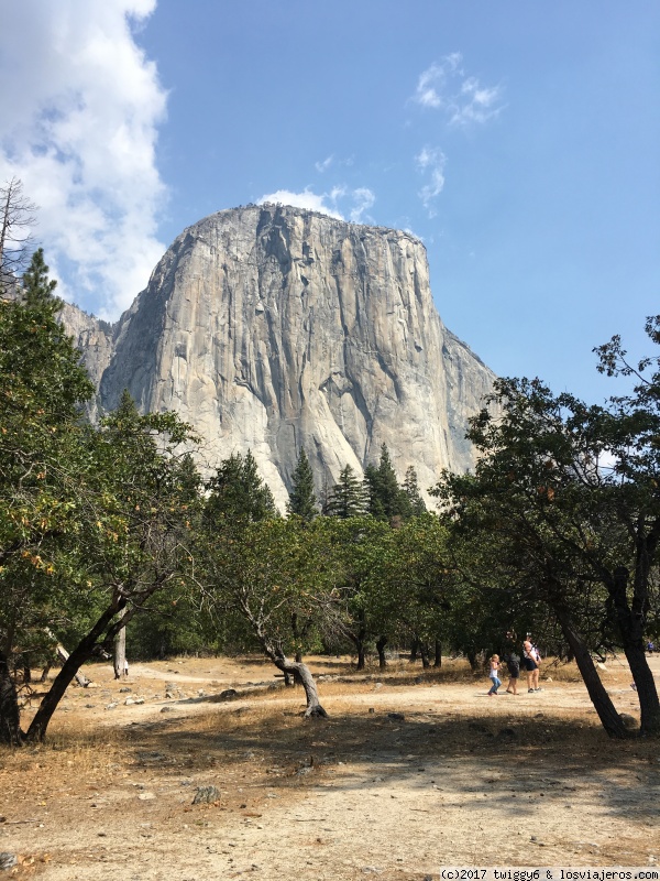 Día 11 Yosemite - Ruta por el oeste americano. (2)
