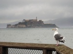 San Francisco Alcatraz
Francisco, Alcatraz