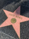 Hollywood Bowie