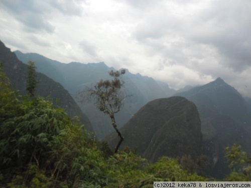 Paisajes exóticos
Impresiona la vegetación

