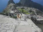 Ciudadesla de Machu Picchu