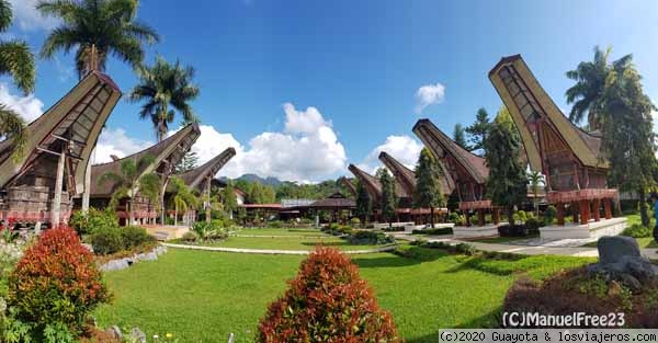 SULAWESI 2018. DIARIO PRÁCTICO - Blogs de Indonesia - HOTELES EN RANTEPAO (1)