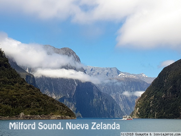 MILDFORD SOUND
Yo creo que la palabra majestuosidad se invento aquí. Navegando entre estas paredes te sientes microscópico.
