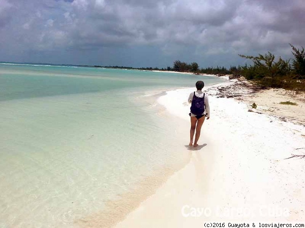 Playas y excursiones en Cayo Largo del Sur (Cuba) - Foro Caribe: Cuba, Jamaica
