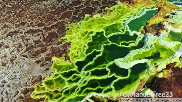 EL DALLOL
Vista aérea de las piscinas ácidas.
