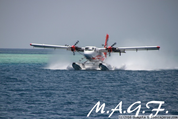 TRANSPORTE ENTRE ATOLONES
Para llegar a los atolones más lejanos no queda más remedio que volar en hidroavión.

