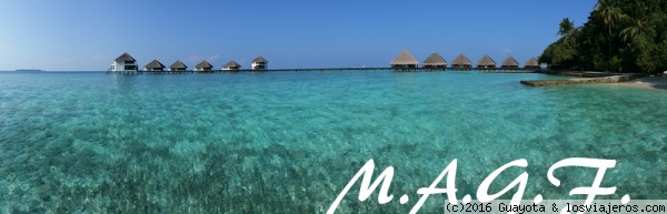 EL MAR DE MALDIVAS
El agua en este archipiélago suele estar a 29 ó 30 grados centígrados. Un lujo para hacer buceo, snorkel o simplemente pasar horas en el agua.
