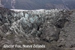 GLACIAR FOX