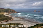 PENÍNSULA DE OTAGO. SAND FLY BEACH
OTAGO, LEONES MARINOS