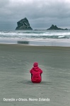 PENÍNSULA DE OTAGO. SAND FLY BEACH