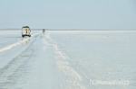 ASSAL LAKE (Karkum lake)