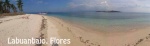 KOMODO BEACHES . FLOWERS