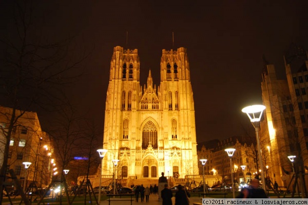 Catedral de Bruselas
Foto nocturna de la Catedral de Bruselas
