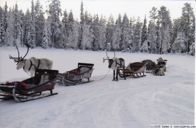 Opiniones ROPA EN LAPONIA: Laponia: navidad 2014