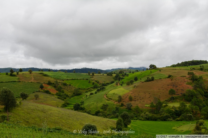 Myanmar. Un país que enamora - Blogs de Myanmar - Kalaw - Pindaya - Trekking Inle (2)