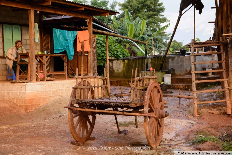 Myanmar. Un país que enamora - Blogs de Myanmar - Kalaw - Pindaya - Trekking Inle (5)