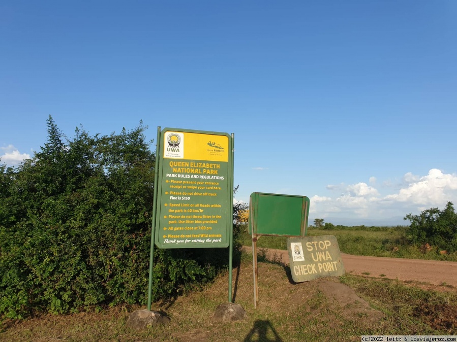 Día 6: Escuela en Ruhija y depredadores en Queen Elisabeth National Park - Uganda 2022 (7)