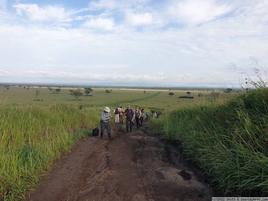 Día 9: Chimpancés en Kyambura Gorge - Uganda 2022 (3)