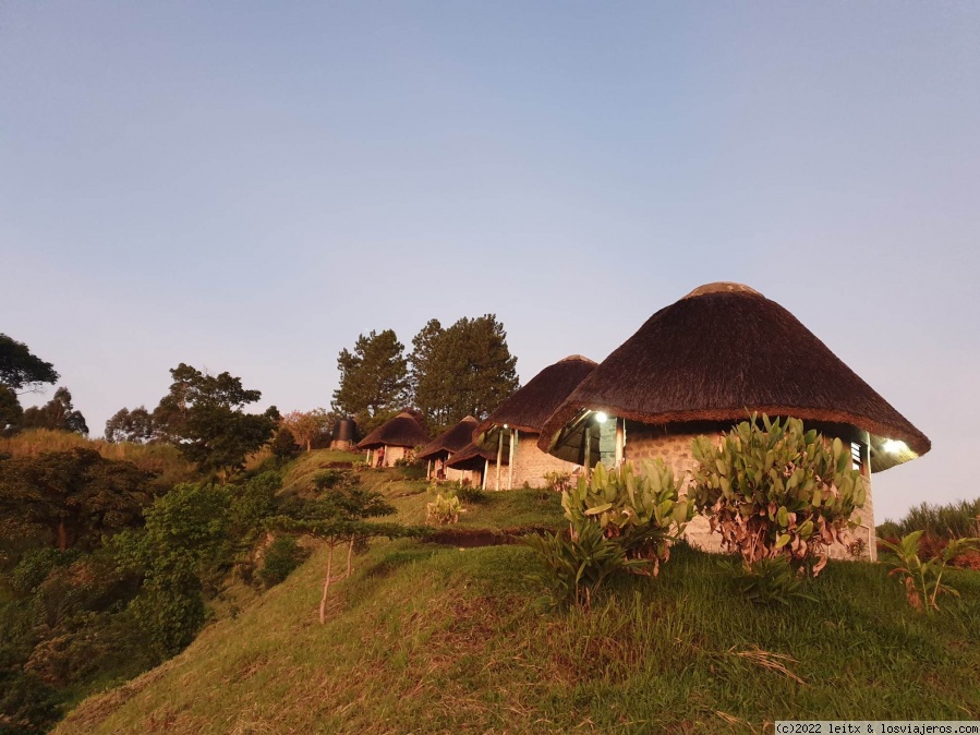 Días 10, 11 y 12 Crater Lakes, lago Nyamirima, lago Nkuruba y humedal Bigodi - Uganda 2022 (1)