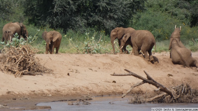 Reserva Nacional de Samburu y poblado Samburu - Increíble Kenia por libre, 2020 (4)