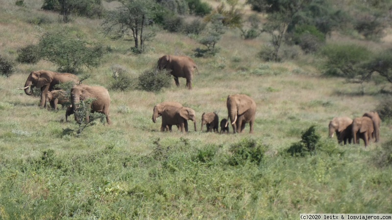 Reserva Nacional de Samburu y poblado Samburu - Increíble Kenia por libre, 2020 (8)