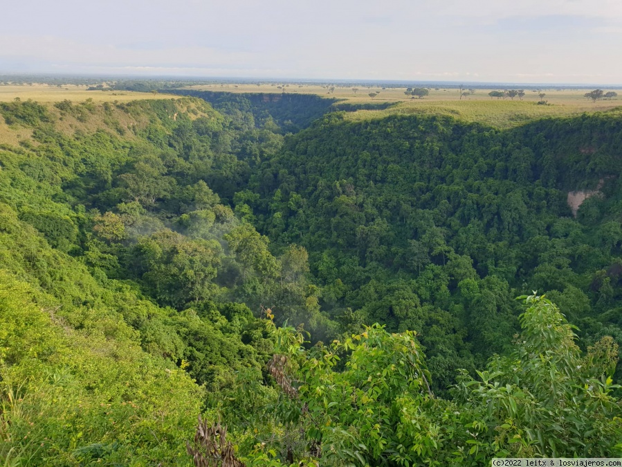 Día 9: Chimpancés en Kyambura Gorge - Uganda 2022 (1)