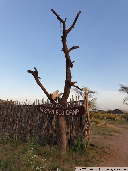 Reserva Nacional de Samburu - Increíble Kenia por libre, 2020 (9)