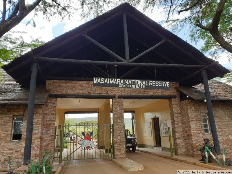 Increíble Kenia por libre, 2020 - Blogs de Kenia - Masai Mara (1)