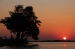 Atardecer Chobe Riverfront
Atardecer, Chobe, Riverfront